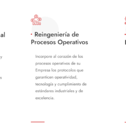 EBI.CL – Empresa Consultora