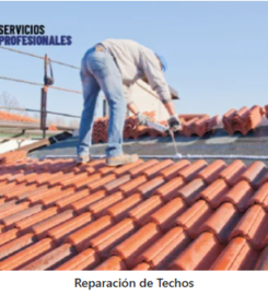 SERVICIOSPROFESIONALES.CL – Servicio a  Domicilio